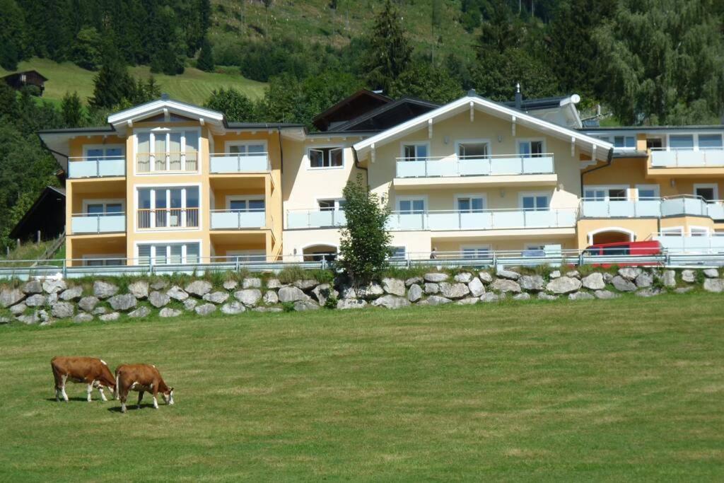 Apartment Hohe Tauern Piesendorf Εξωτερικό φωτογραφία