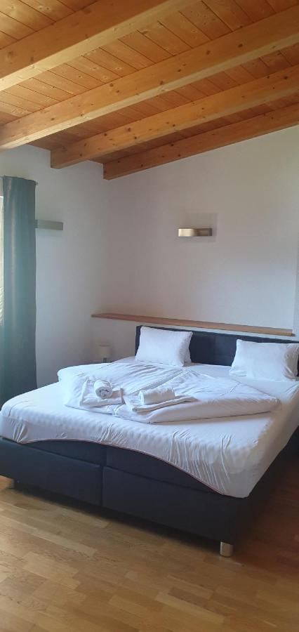 Apartment Hohe Tauern Piesendorf Εξωτερικό φωτογραφία