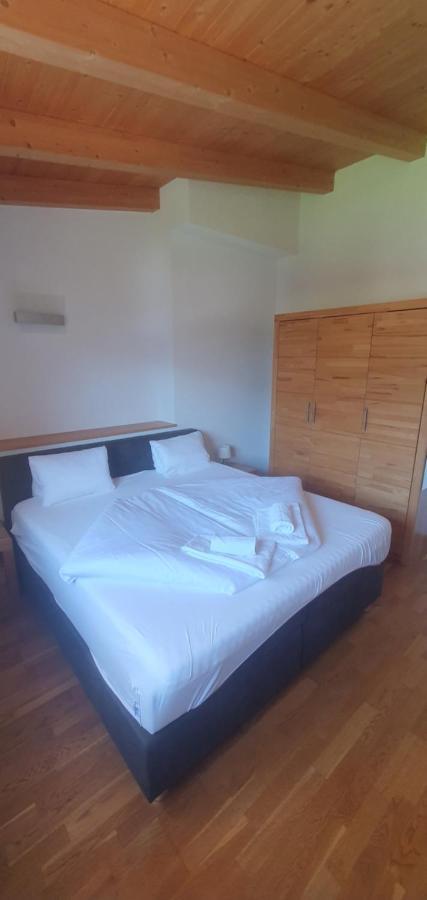 Apartment Hohe Tauern Piesendorf Εξωτερικό φωτογραφία
